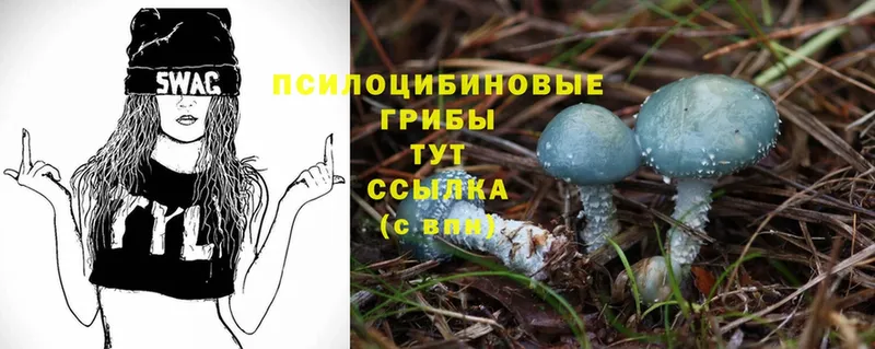 hydra ТОР  Нефтеюганск  Псилоцибиновые грибы Magic Shrooms 