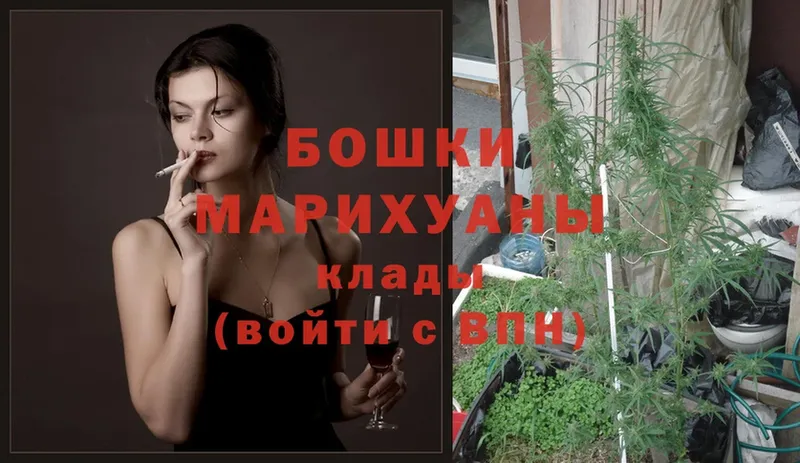 Бошки марихуана SATIVA & INDICA  Нефтеюганск 